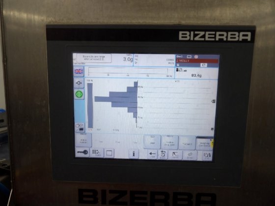 2017 Bizerba CWE Maxx 自动检重秤