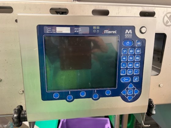 2008 Marel 12ステーショングレーダーライン