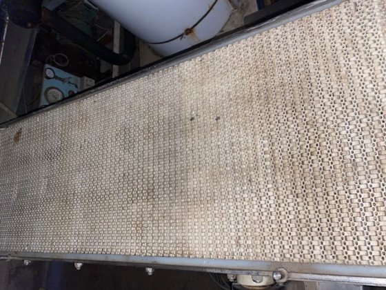 Norfo Intralox输送机