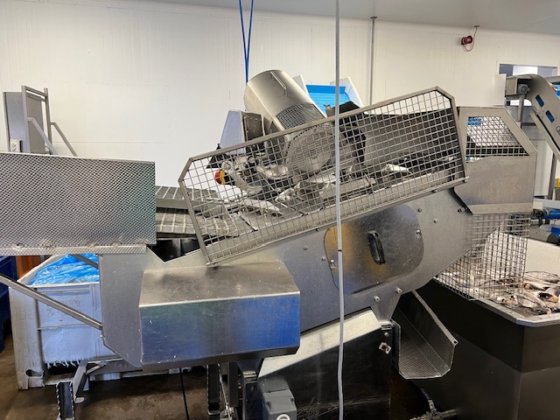 キュリオ C427 フィッシュ・ヘッディング・マシン