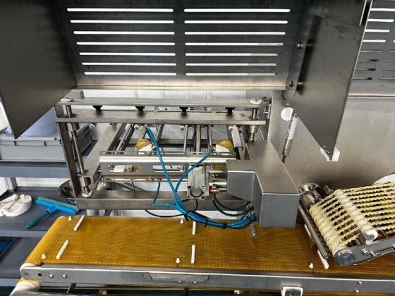 2010 Marel IPS 3000 鲑鱼切片机