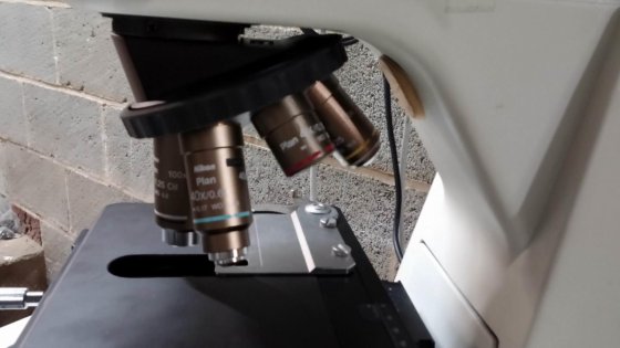 NIKON ECLIPSE 50I MICROSCOPE CON