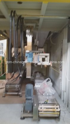 Gbm 2线2秤量装袋机，适用于肥料和谷物