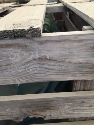 SULLAIR，带油分离器的新型污水处理设备，压缩机框架