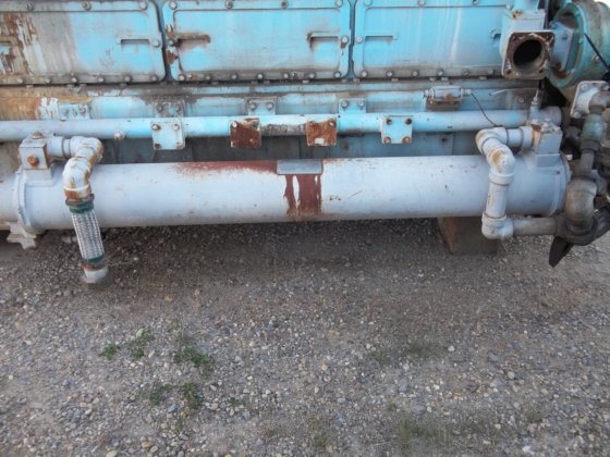 白色优等品 8g825