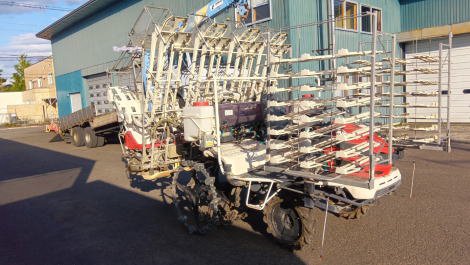 みのる　ミノル ＲＸＧ－８０Ｄ