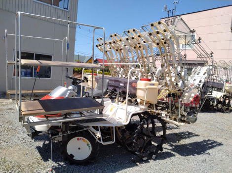 みのる　ミノル ＲＸＧ－８