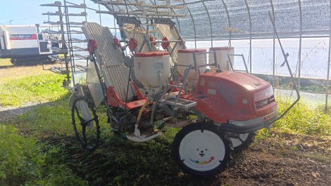 みのる　ミノル ＲＸＤ-６