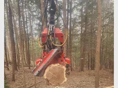 2016 TIMBERPRO TF830C in Shinglehouse, PA, USA