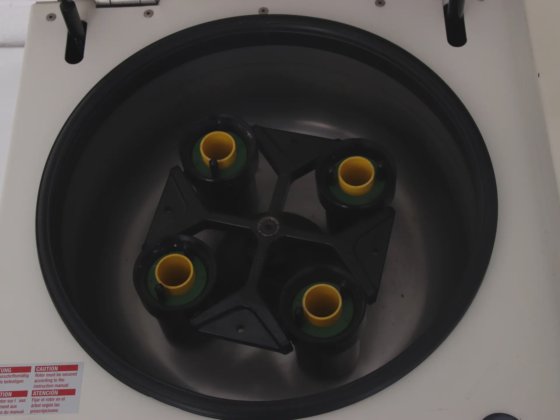 ヘレウス バイオファージ ストラトス 冷凍遠心分離機