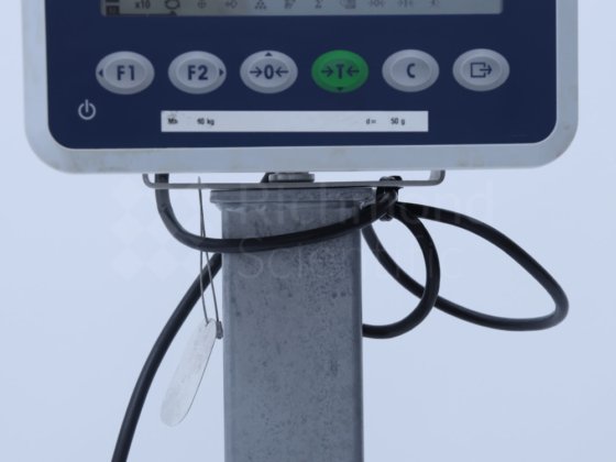 梅特勒-托利多 BBA231-3CC300A 台秤