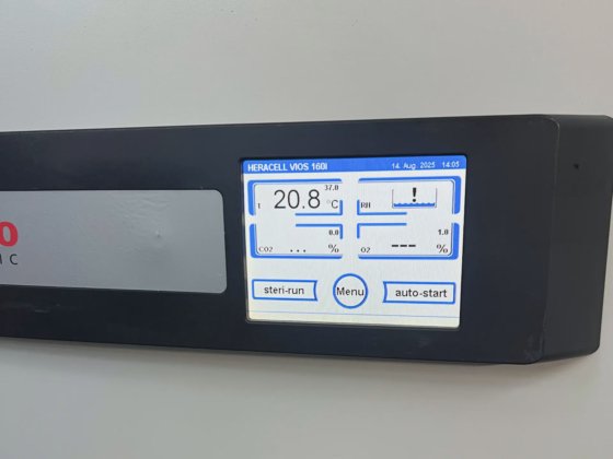 Thermo Scientific HERAcell VIOS 160i