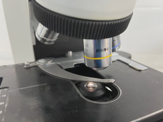 奥林巴斯 CX41RF 显微镜