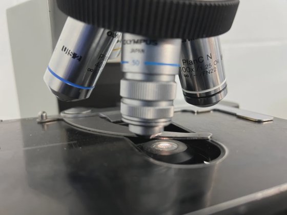 Microscope Olympus CX41RF