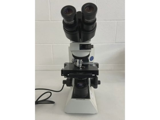 奥林巴斯 CX41RF 显微镜