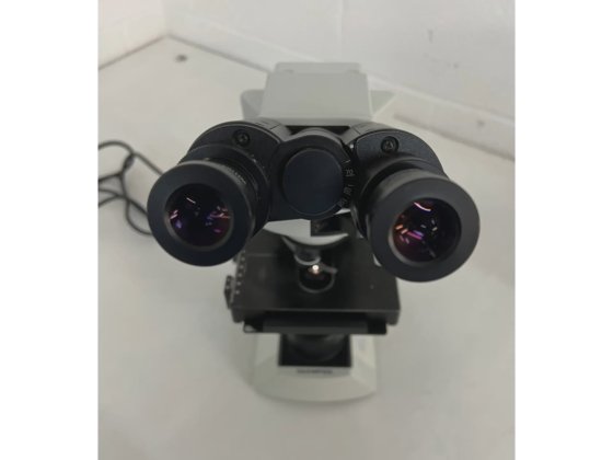 奥林巴斯 CX41RF 显微镜
