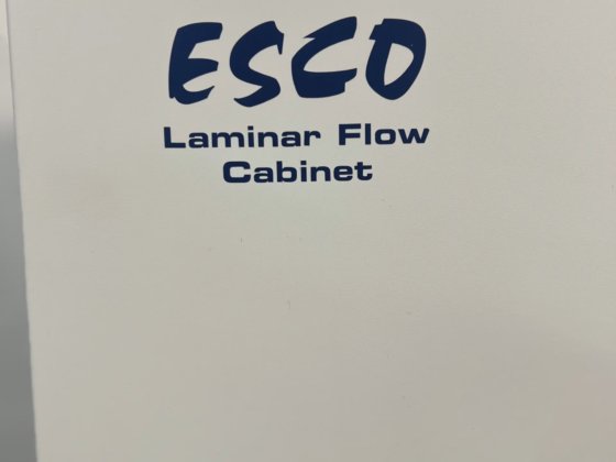Cabinet a flusso laminare Esco