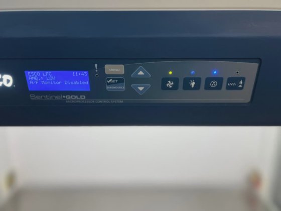 Cabinet a flusso laminare Esco