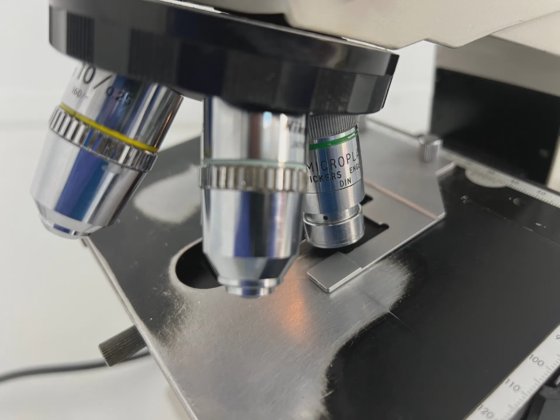 Microscope Nikon Labophot