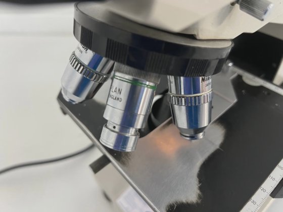 Microscope Nikon Labophot
