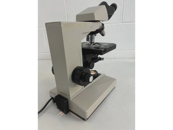 Microscope Nikon Labophot