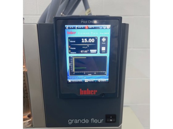 Buchiglasuster压力反应堆系统