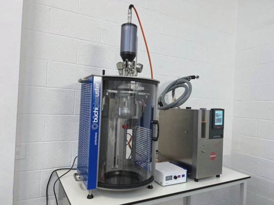 Buchiglasuster压力反应堆系统