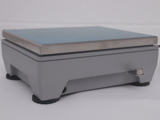 梅特勒-托利多 ICS 425d-6SM/f 紧凑型秤