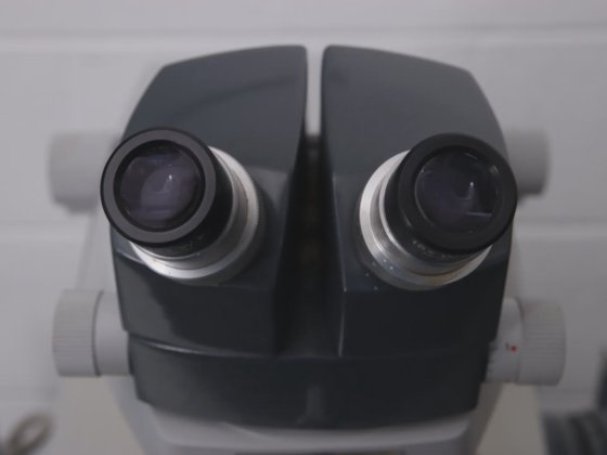 ライヒェルト・ユング ウルトラカットEミクロトームシステムとLKBナイフメーカー