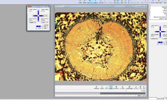 Palm Microbeam3 レーザーキャプチャーマイクロディセクター、Axio