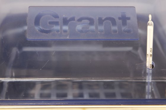 グラント GLS アクア 12 プラス