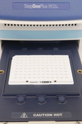 2020年 Applied Biosystems StepOnePlus