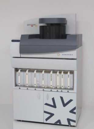 Ventana BenchMark Discovery XT