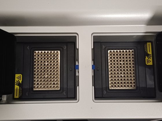 2020 コールパーマー PCRmax アルファ2