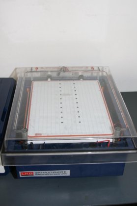 LKB 2117 Multiphor II 电泳系统