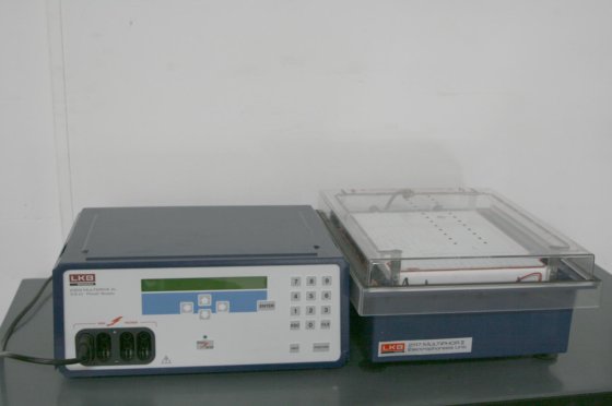 LKB 2117 Multiphor II 电泳系统