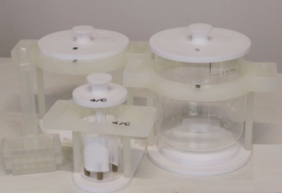 マイルストーンヒストスプロ