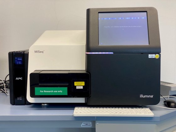 2021 イルミナ MiSeq