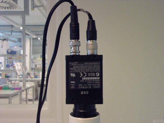 蔡司 Axioplan 2 Plus