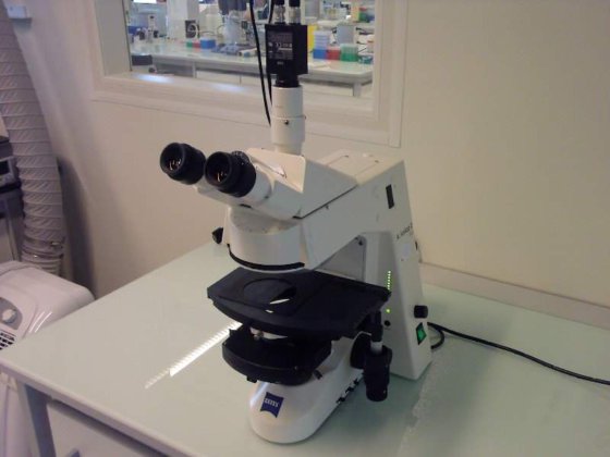 蔡司 Axioplan 2 Plus