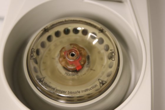 2020 サーモサイエンティフィック ピコ 17