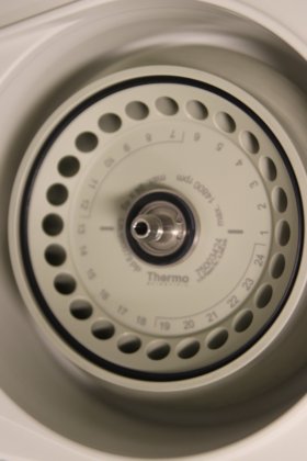 2020 サーモサイエンティフィック ピコ 17