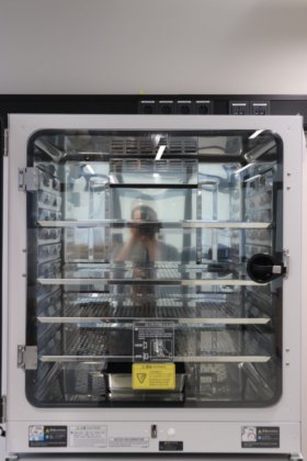 2023 PHCbi 二氧化碳培养箱