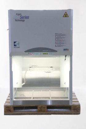 コジャイル シルバーライン 100