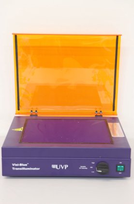 希望小売価格 ビジブルー