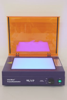 希望小売価格 ビジブルー