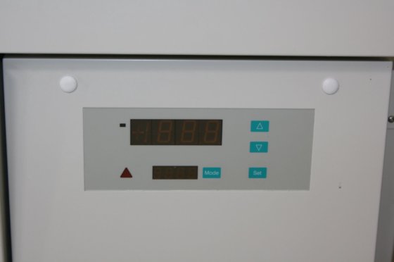 Heraeus Herafreeze HFU 586 Basic