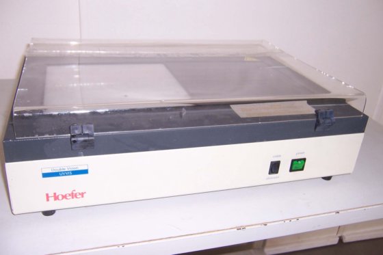 Hoefer Double Vision