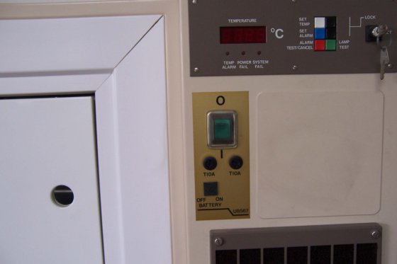 新布伦瑞克 CFC 免费