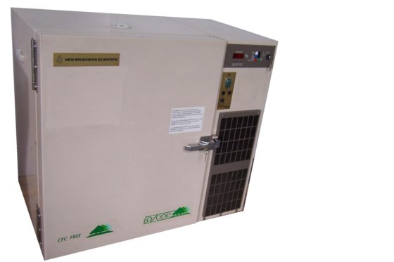 新布伦瑞克 CFC 免费